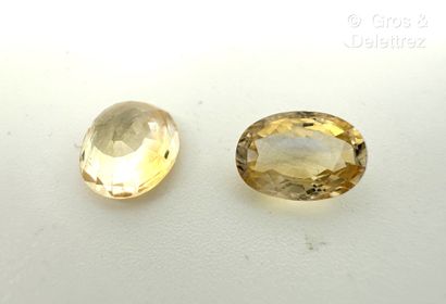 Lot de deux saphirs jaunes ovales facettés...