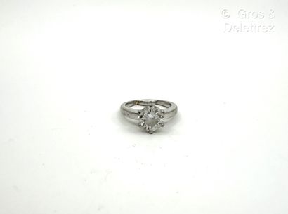 Travail français
Solitaire en or gris 750...