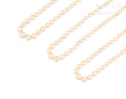Collier de trois rangs de perles de culture...