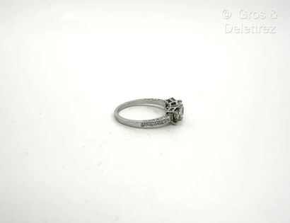 Travail français
Bague en or gris 750 millièmes...