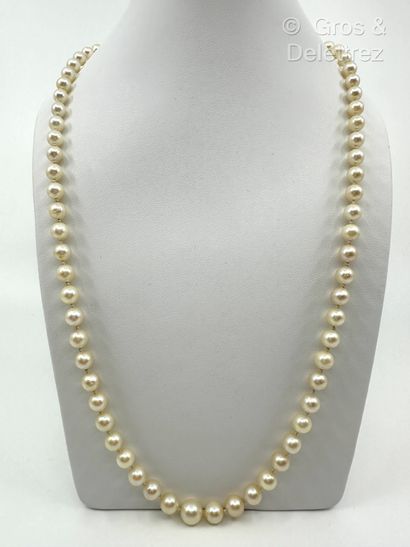 Long collier composé d’un rang de perles...