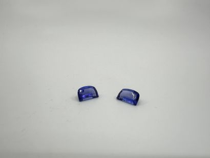 Lot de deux tanzanites taille fantaisie sur...