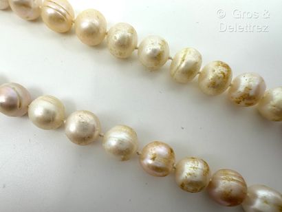 Collier d’un rang de perles de culture d’eau...