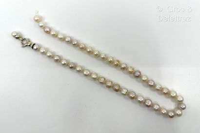 Collier d’un rang de perles de culture d’eau...