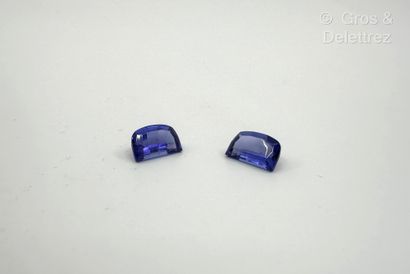 Lot de deux tanzanites taille fantaisie sur...