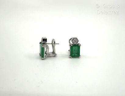 Paire de boucles d’oreilles en or gris 750...