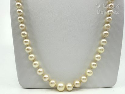 Long collier composé d’un rang de perles...