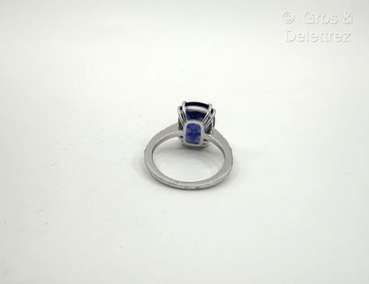 Travail français
Bague en or gris 750 millièmes...