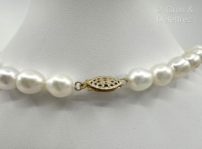 Collier d’un rang de perles de culture d’eau...