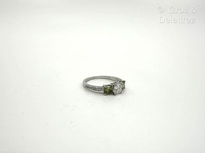 Travail français
Bague en or gris 750 millièmes...