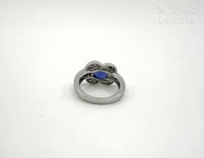 Travail français
Bague en or gris 750 millièmes...