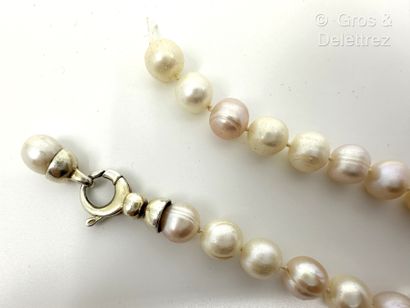 Collier d’un rang de perles de culture d’eau...
