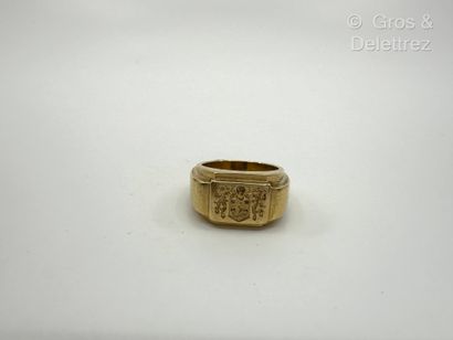 Bague Chevalière en or jaune 750 millièmes...