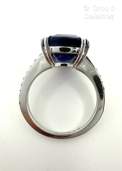 Travail français
Bague en or gris 750 millièmes...