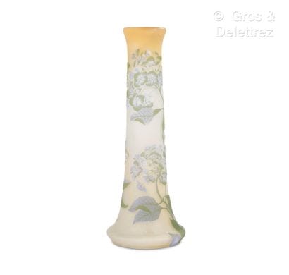 ETABLISSEMENTS GALLE
Excpetionnel vase à...