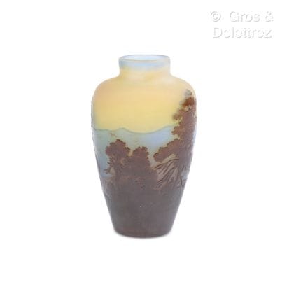 ETABLISSEMENTS GALLE
Vase en verre multicouche...