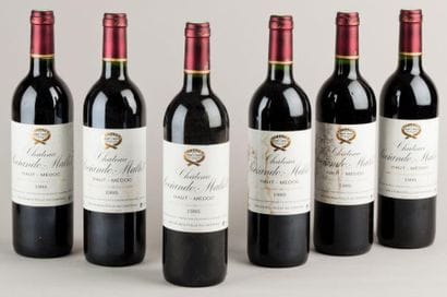 6 Bouteilles CH. SOCIANDO-MALLET, Haut-Médoc...