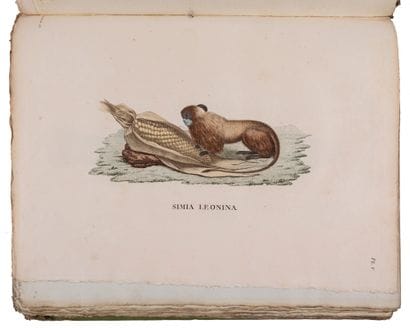 HUMBOLDT, BONPLAND, Aimé.

A Collection of...