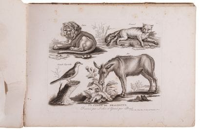 [Engraving]. LECLERC; PERROT.

1st [–10th]...