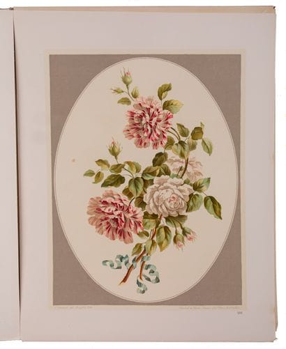 EDWARDS, John.

A Collection of Twelve Bouquets...