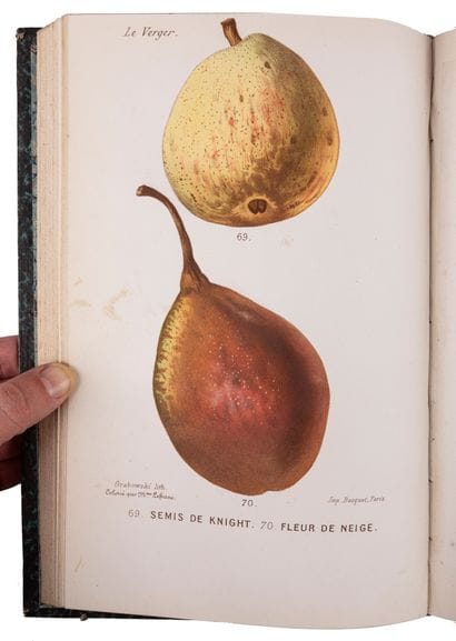[NATURAL SCIENCES and HORTICULTURE].

Set...