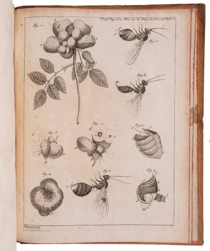 REAUMUR, René-Antoine Ferchault de.

Memoirs...