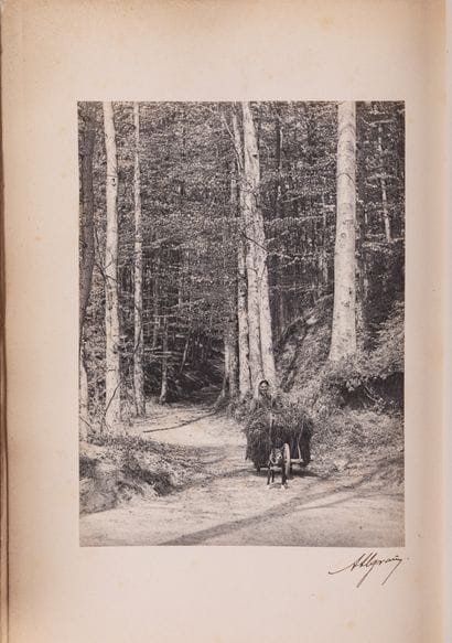 GIESEN, Joseph.

Photography from a Legal...