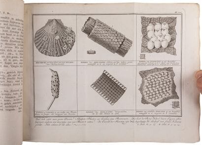 MARTINET, J. F.

Katechismus der Natuur [With]...