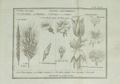 BERNARDIN DE SAINT-PIERRE.

Studies of Nature...