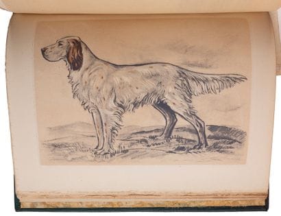 [HUNTING and BULLFIGHTING].

SET of 6 titles.

HUNTING.
-by...