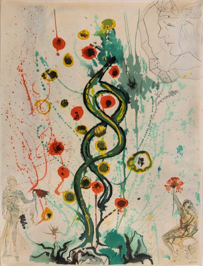 Salvador DALI.

[The Alchemy of the Philosophers....