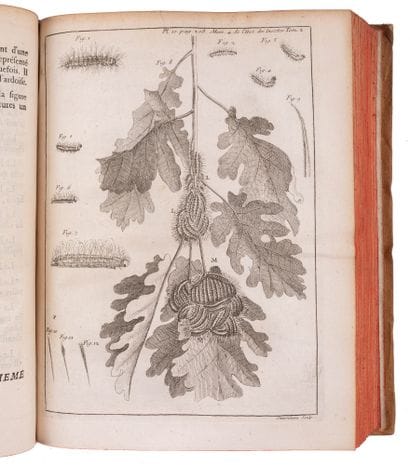 REAUMUR, René-Antoine Ferchault de.

Memoirs...