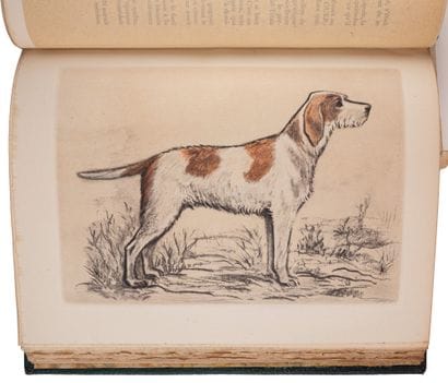 [HUNTING and BULLFIGHTING].

SET of 6 titles.

HUNTING.
-by...