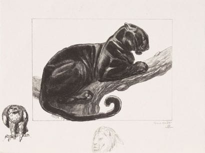 Paul JOUVE (1878-1973)

Panthère branchée
Lithographie...