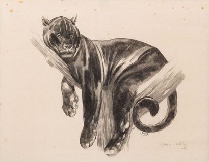 Paul JOUVE (1878-1973)

Panthère branchée,...