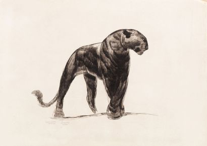 Paul JOUVE (1878-1973)

Panthère noire, circa...