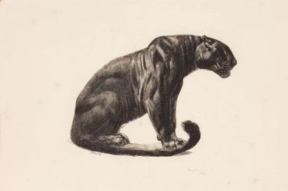 Paul JOUVE (1878-1973)

Panthère noire assise
Lithographie...