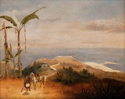 Auguste COOMANS (?-1896) Alger vu des hauteurs,...