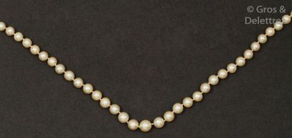 Collier de perles de culture en chute, le...