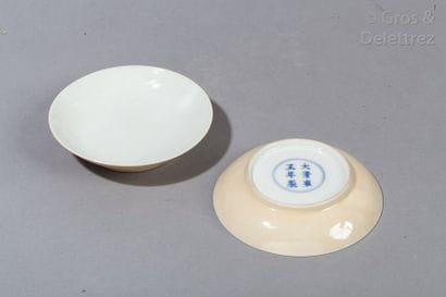 Paire de coupe en porcelaine , marque sur...
