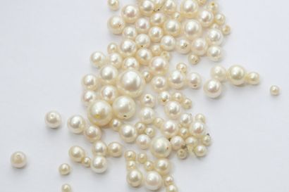 Petit LOT de perles de culture