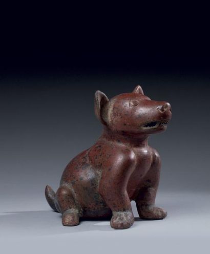 CHIEN ASSIS Cet adorable chien, assis sur...