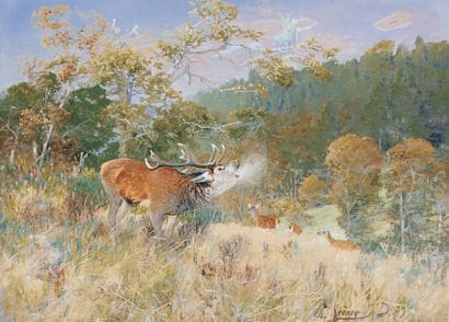 Christian Johann KRÖNER - 1861-1911
CERF...