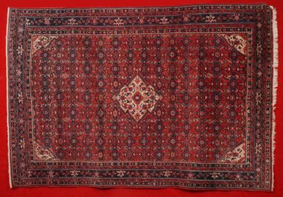 Tapis MIR SARABEND (Iran) vers 1960/1970...