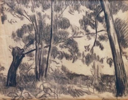 Maximilien LUCE - 1858-1941
LES ARBRES Fusain...