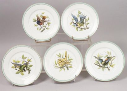 LIMOGES, fin du XIXe siècle
SUITE DE CINQ...