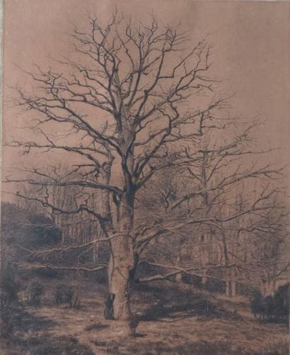 Ecole de Barbizon du XIXe siècle
MOINE PRÈS...