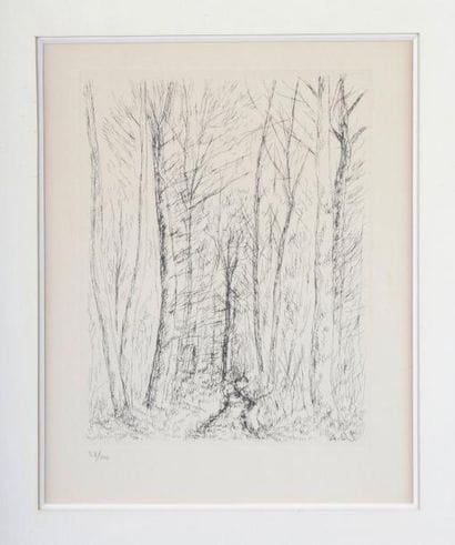Aimé-Daniel STEINLEN (1923-1996)
LE TAILLIS...