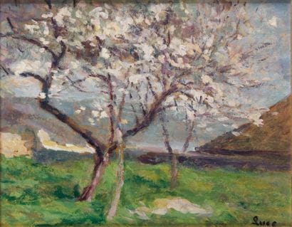 Maximilien LUCE - 1858-1941
ARBRES EN FLEURS...