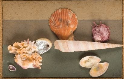 Rose ADLER - 1892-1969
COMPOSITION AUX COQUILLAGES...